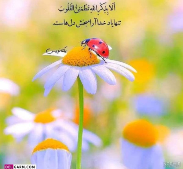 دانلود آهنگ تو یه پناهی میثم ابراهیمی فرزاد فرزین روزبه بمانی اندی محسن چاوشی از فارس ترانه